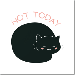 Lazy Cat Nope not Today funny sarcastic messages sayings and quotes Posters and Art
